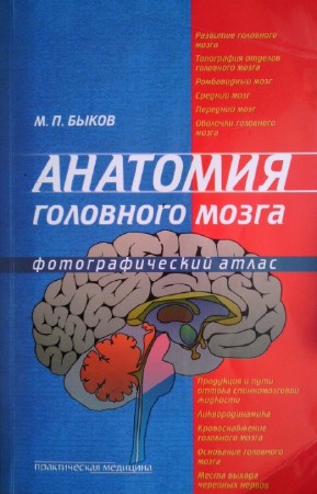 Быков М.П. - Анатомия головного мозга. Фотографический атлас