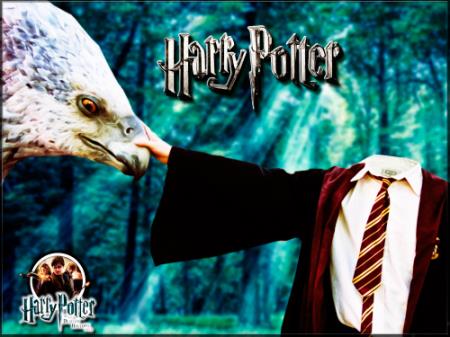 Детский фотошаблон для фотомонтажа - Гарри Поттер с большой птицей