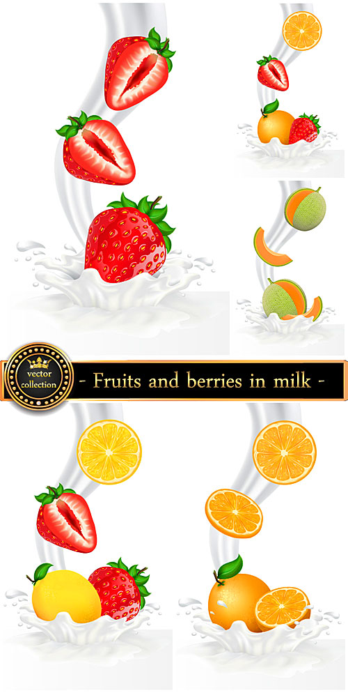 Fruits and berries in milk, vector