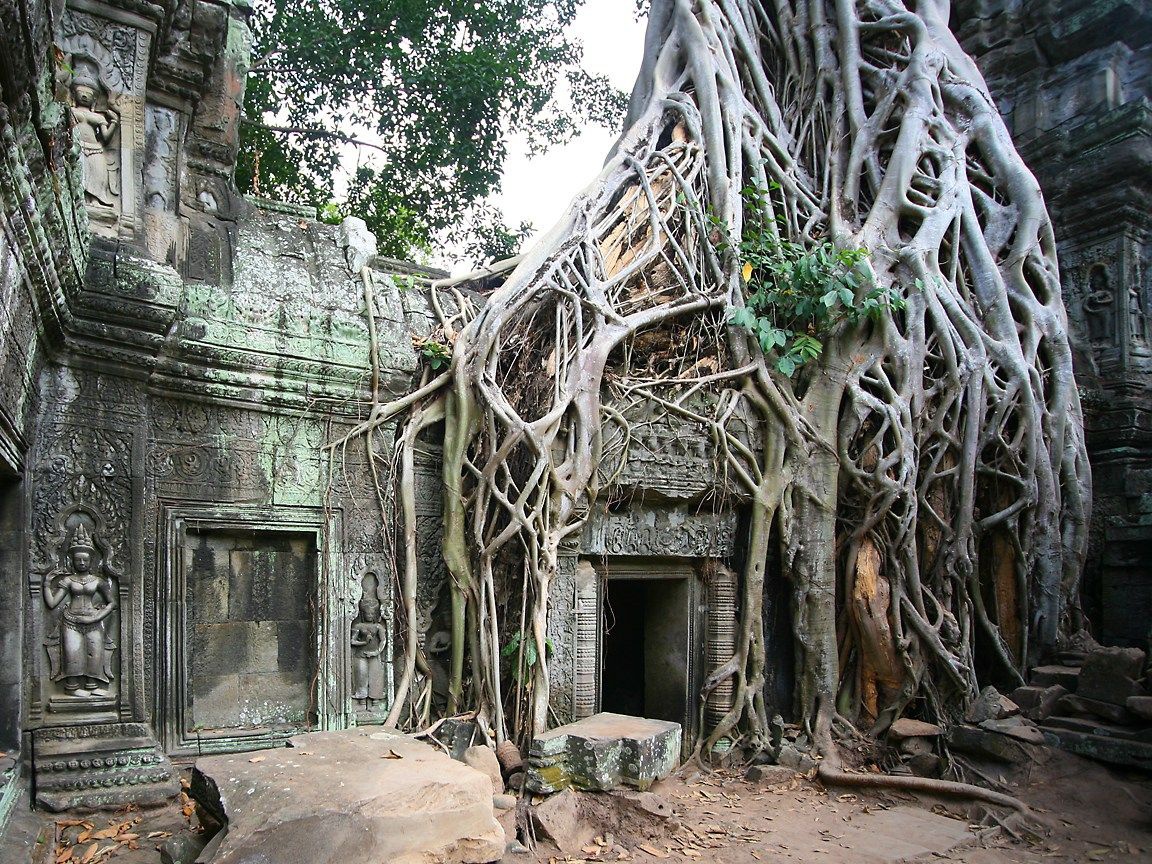 Как были раскрыты тайны Ангкора (фото)