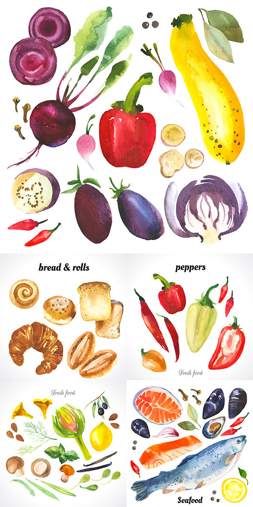 Different food illustrations watercolor style 4
