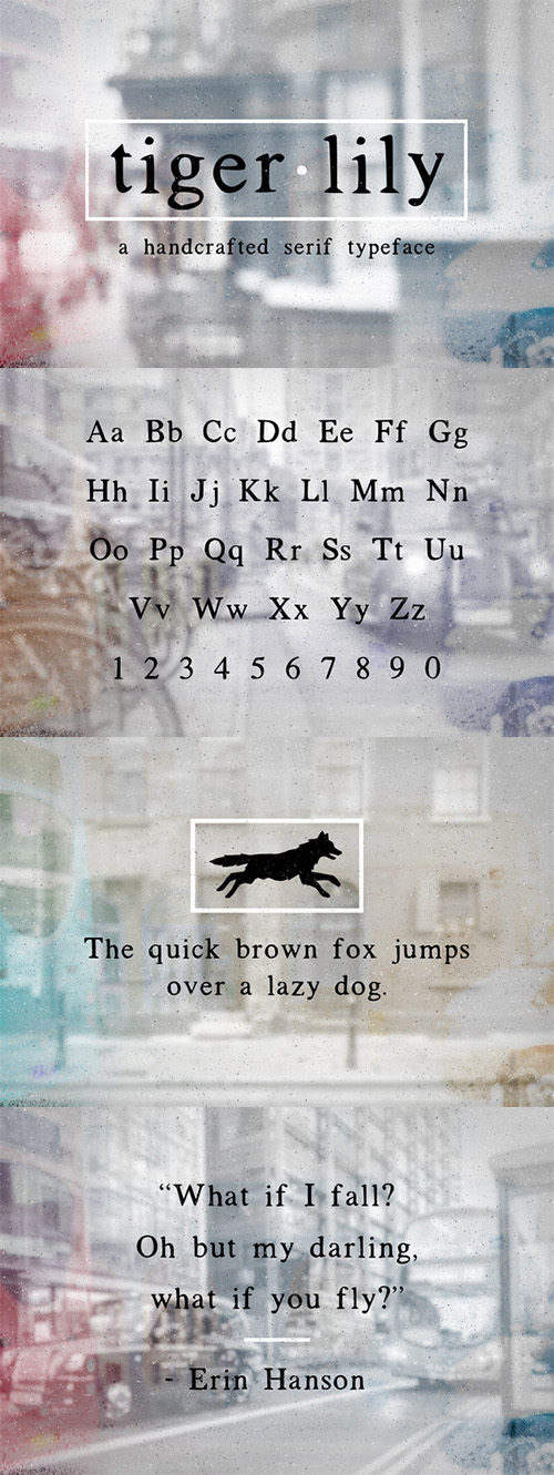 Tigerlily Font