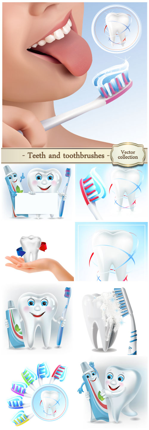 Teeth and toothbrushes vector