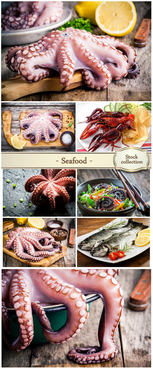 Seafood, fish, octopus - stock photos