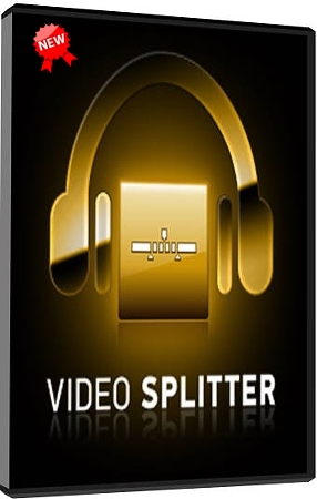 SolveigMM Video Splitter 5.0.1508.11 Business Edition Final + Portable + Ключи