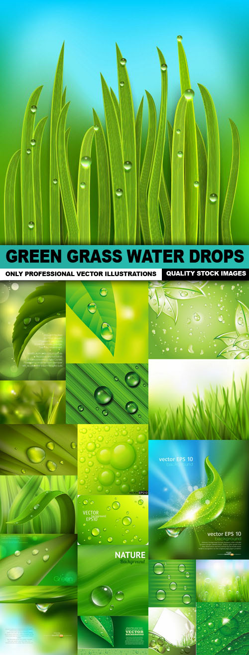 Green Grass Water Drops 5