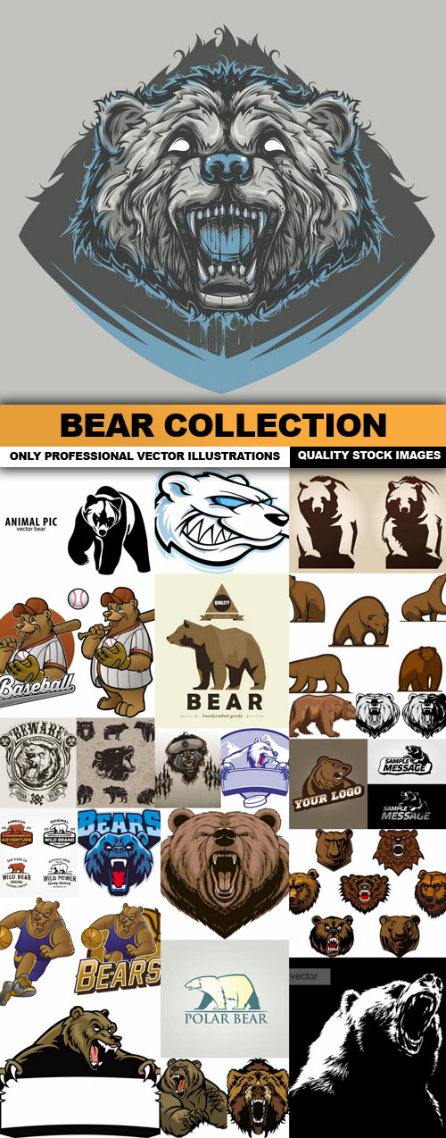 Bear Collection 8